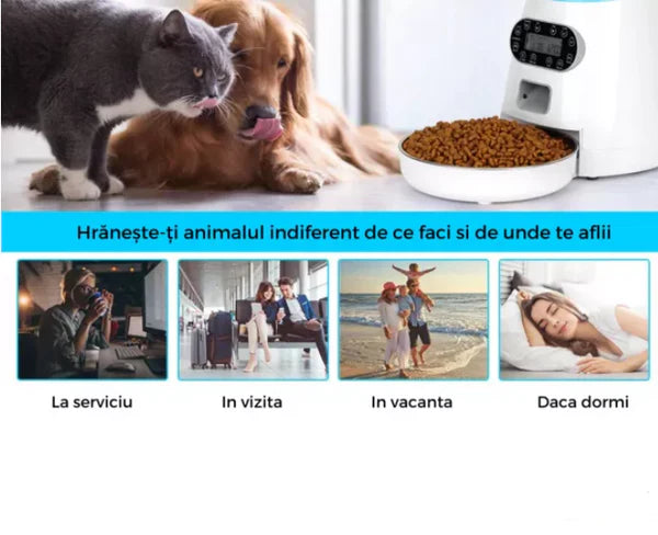 Dispenser automat pentru caini si pisici cu memorie, bol inox, 4 mese si comanda vocala Trendysale.ro